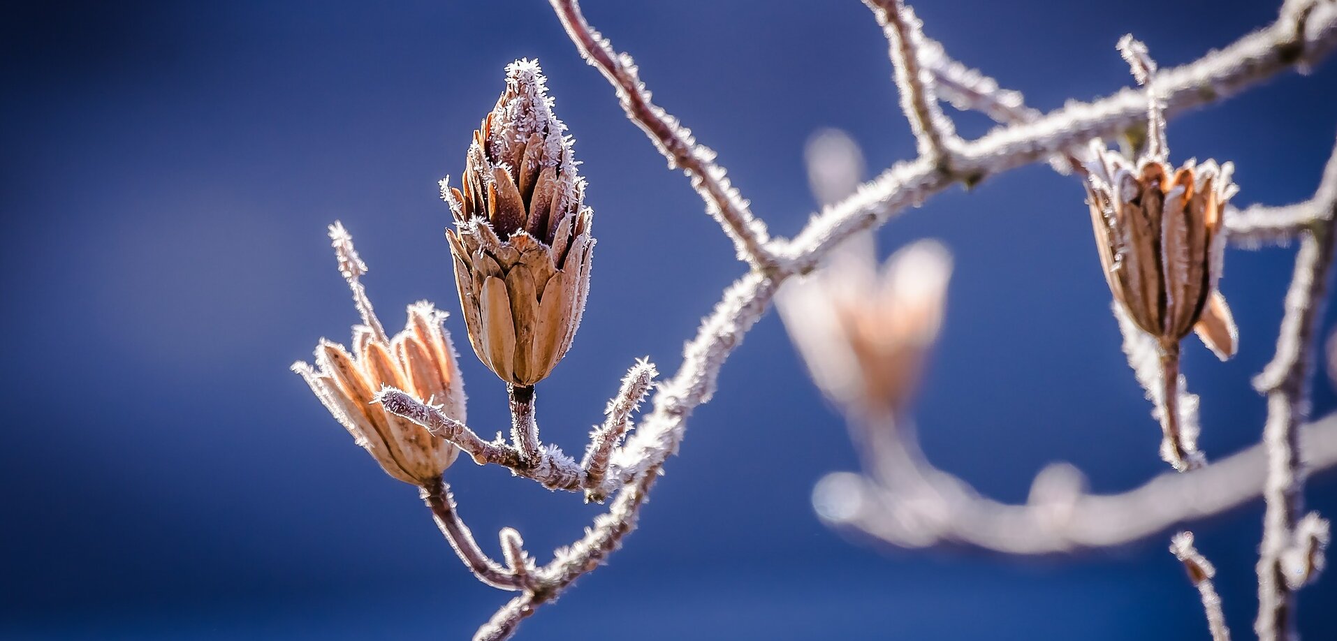 Raynaud-Syndrom im Winter